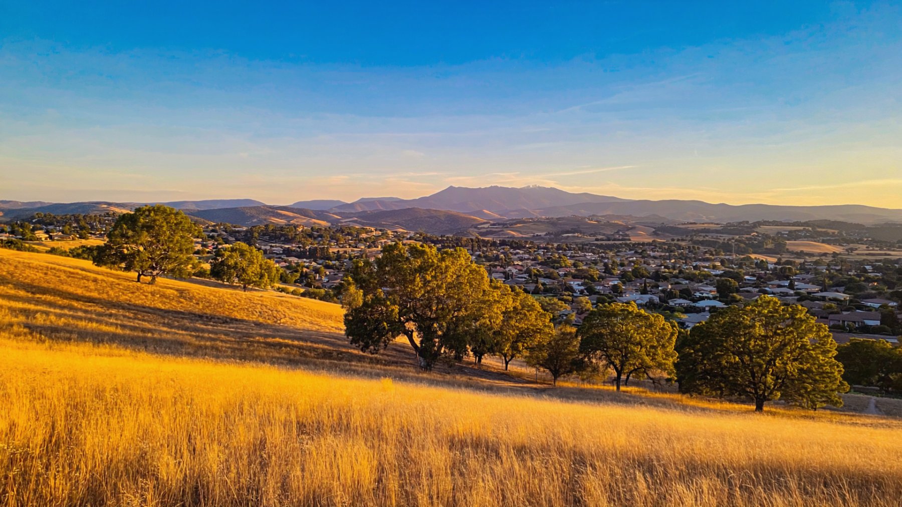 The San Ramon Valley at golden hour, oak hills above established East Bay neighborhoods