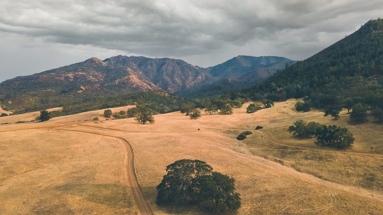 Alamo, California